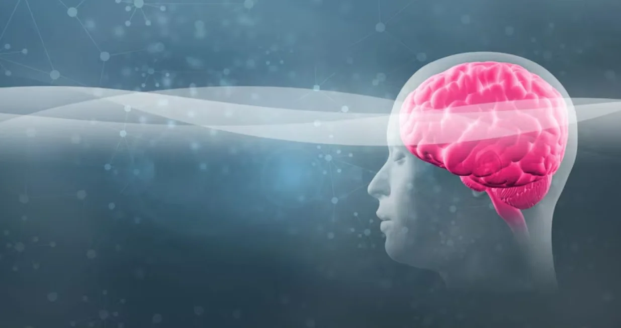 Složeni mehanizmi za filtriranje i obradu informacija/