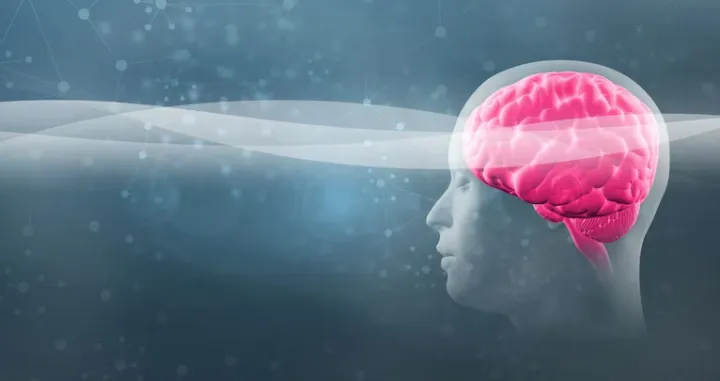 Složeni mehanizmi za filtriranje i obradu informacija/