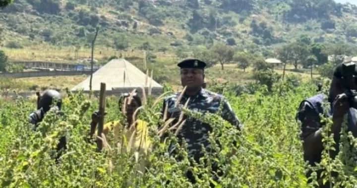 U toku potraga/X.com//