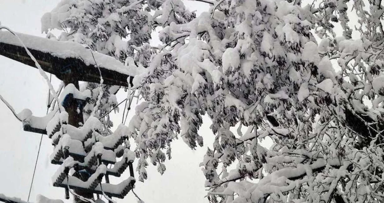 snijeg struja srna/Александар Лукић