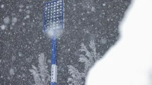 FOTO: Damir Hajdarbašić/FK Željezničar/Foto: 