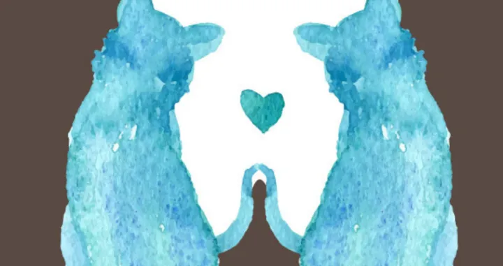 Šta ste prvo vidjeli?/