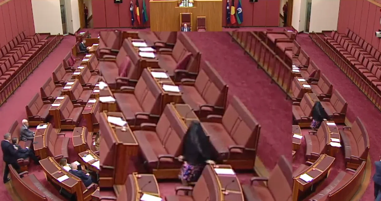 Australska desna senatorica nosila burku u parlamentu, muslimanke bijesne/Screenshot