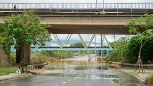 Poplave u Vijetnamu/Anadolija/