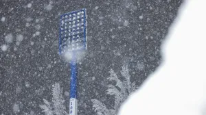 FOTO: Damir Hajdarbašić/FK Željezničar/Foto: 