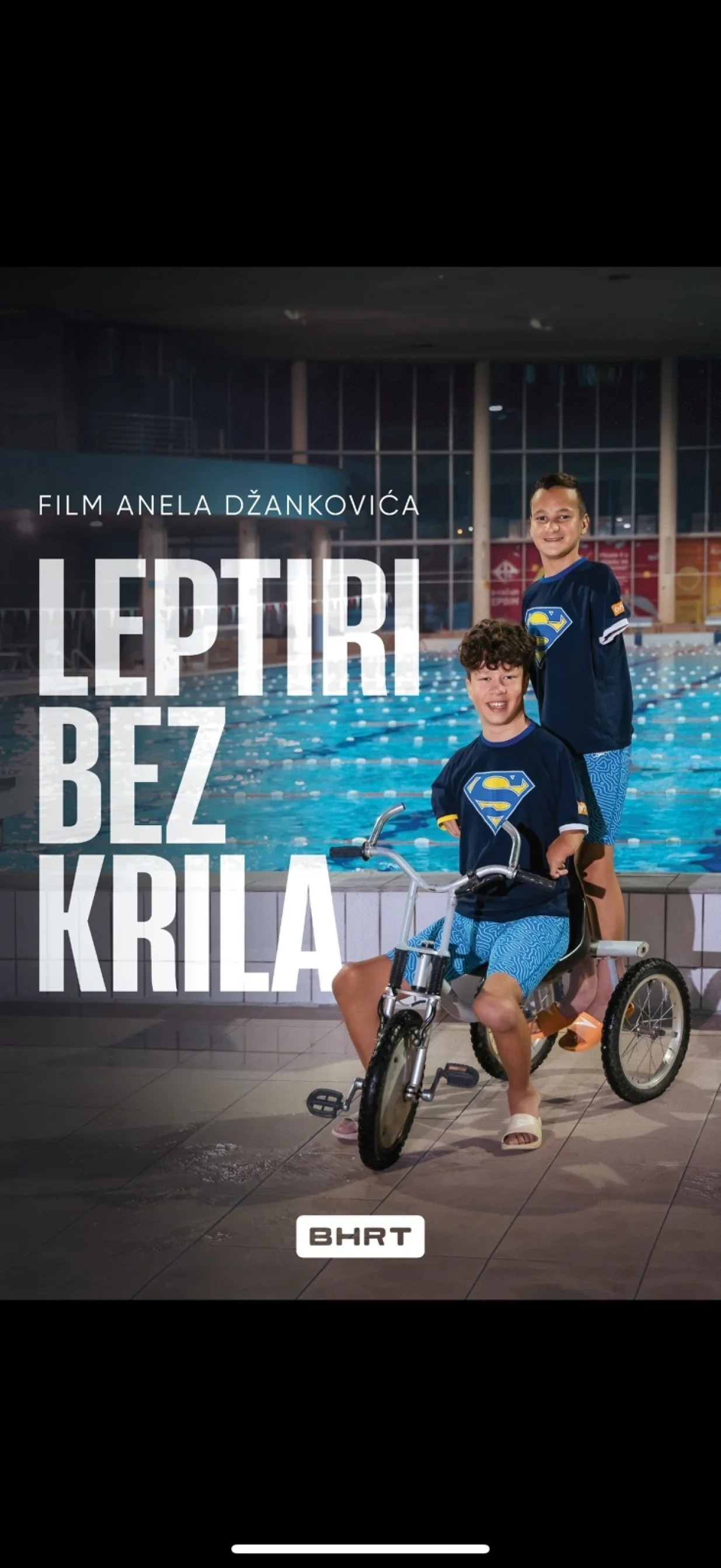 Poster za film Leptiri bez krila/Foto: 