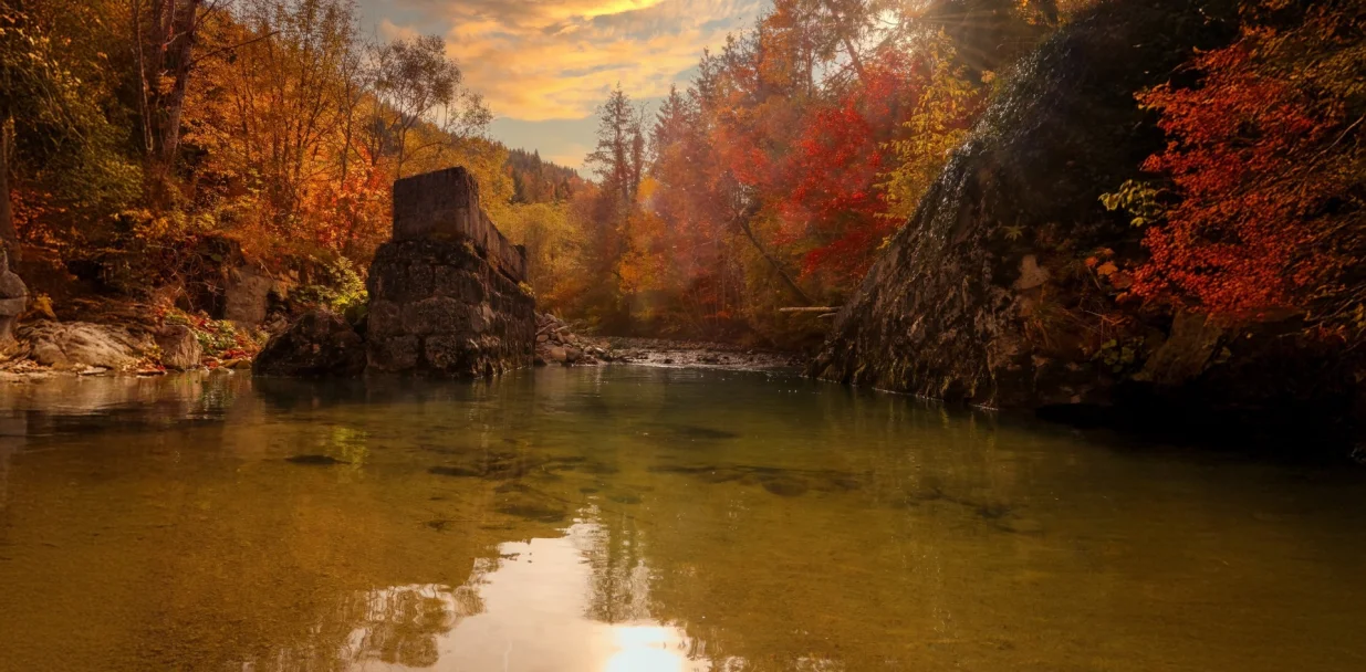 Autor Samir Behlić (fb ipsia bih)/