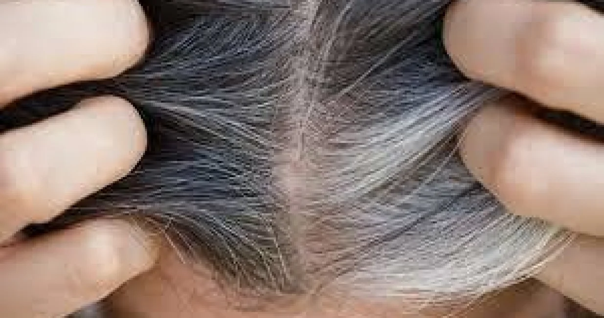 Matične ćelije imaju sposobnost diferencijacije/