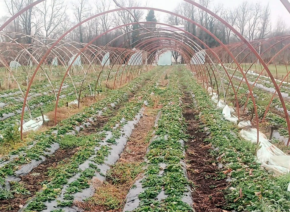 Zlatko Prkić: Već devet godina sam korisnik Fonda/