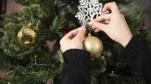 Izgledat će fenomenalno/Free Pik