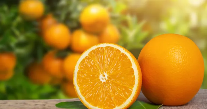 Narandže, citrusi/Freepik