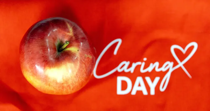 Dan brižnosti/Marko Risović/