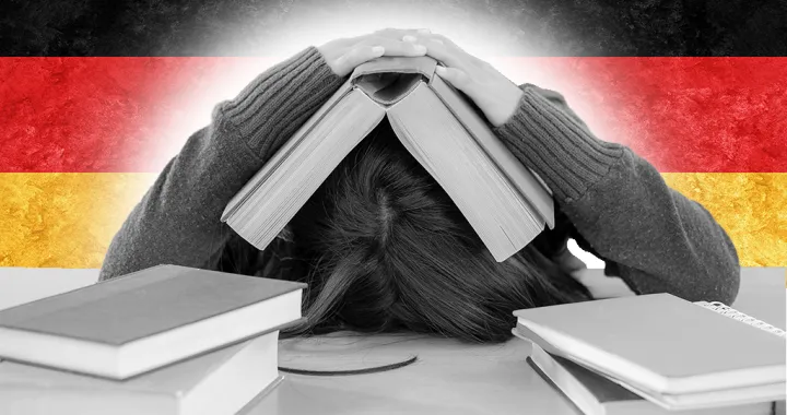 Vizual za kolumnu - Lekcije iz Njemačke: šta preuzeti?/Benjamin Krnić