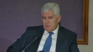 Dragan Čović, konferencija u Zagrebu, Dejtonski sporazum, 30. godina/Prtsc