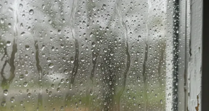 Buđ više nema šanse/Ilustracija