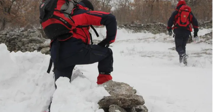 gss snijeg ilustracija/Gss