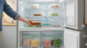 Zamrzivač im uništava teksturu, ukus i hranjivost/Ilustracija