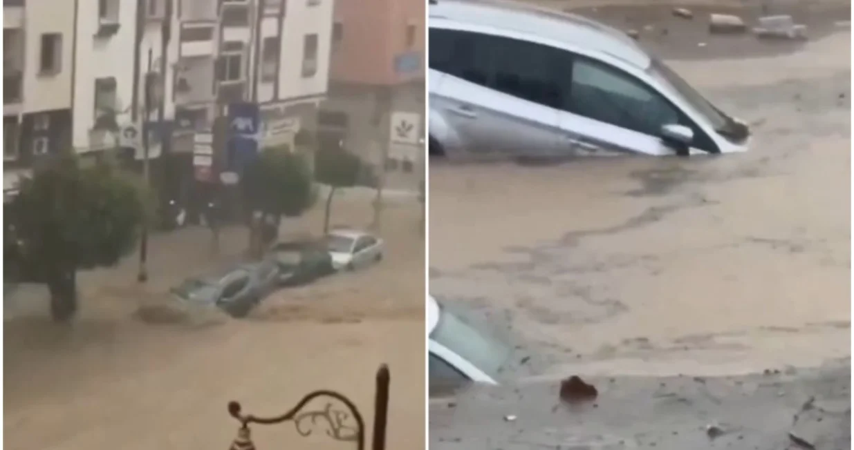 Stra&scaron;ni prizori/Printscreen/X.com//