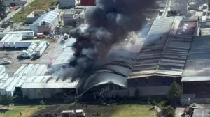 Srušio se avion/Printscreen/X.com//