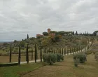 Toskana, Montalcino/