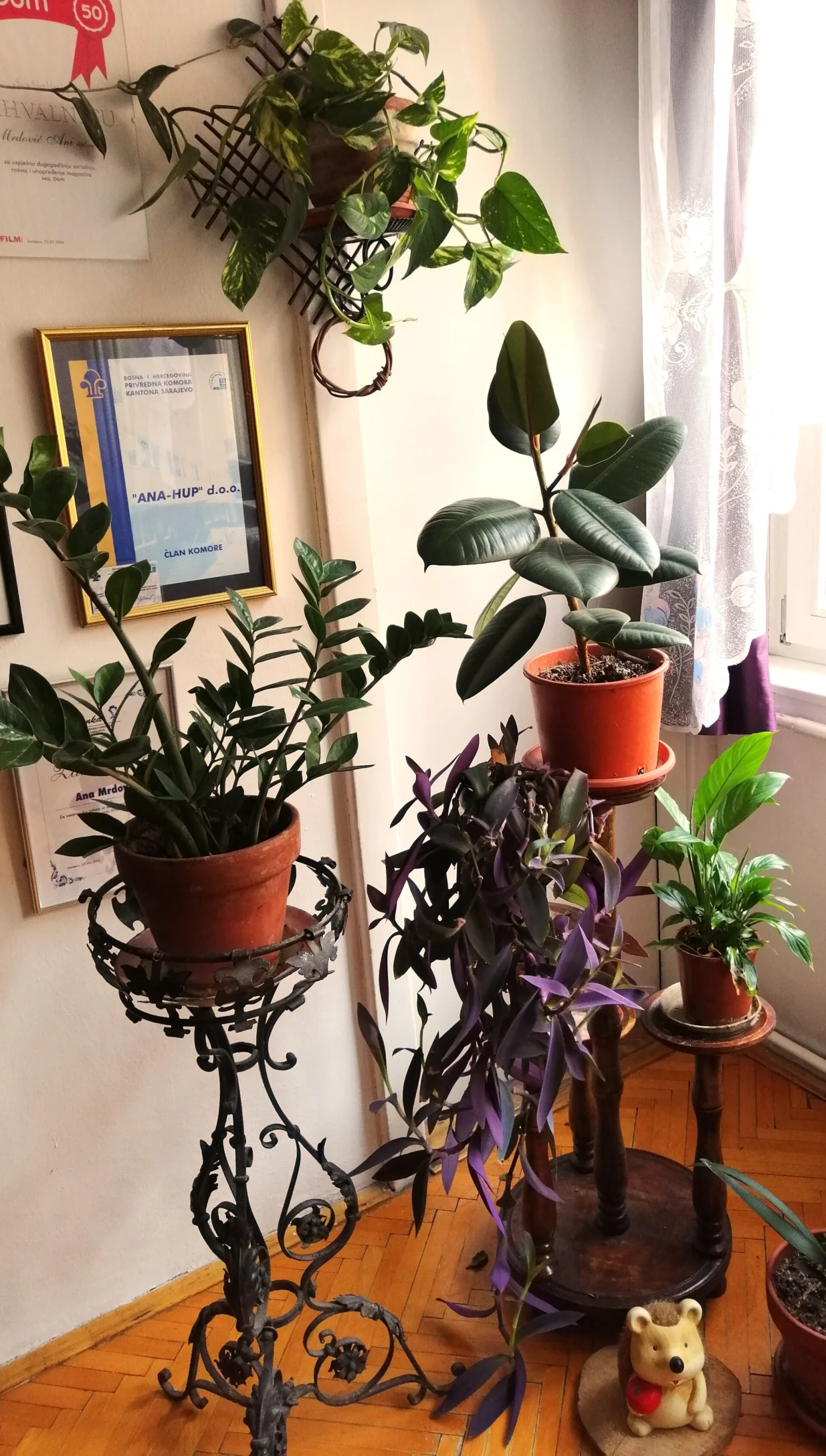 U prostorijama sa podnim grijanjem treba biljke postaviti na stalke/