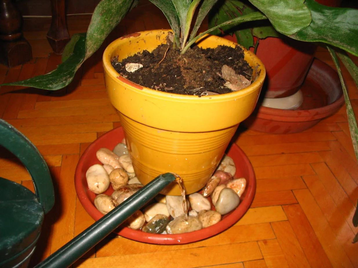 Voda u oblucima za povećanje zračne vlage/