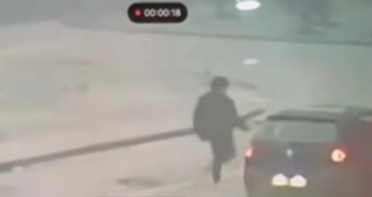 Trenutak kada lopov ulazi u automobil/Screenshot/