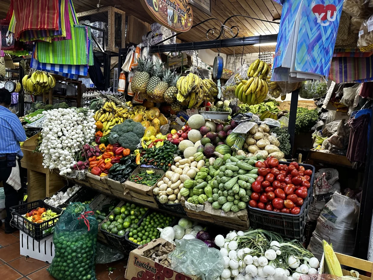 Mexico City /AJLA TERZIĆ/