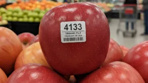 Šokantno saznanje/Ilustracija