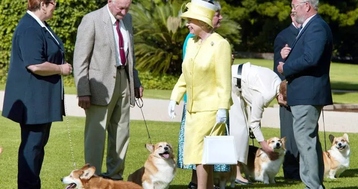 Kraljica i njeni psi/