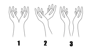 Crtež koji otkriva da li ste brutalno iskreni ili manipulativni/