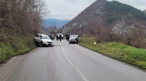 nesreća kod višegrada, poginula jedna osoba/Srna