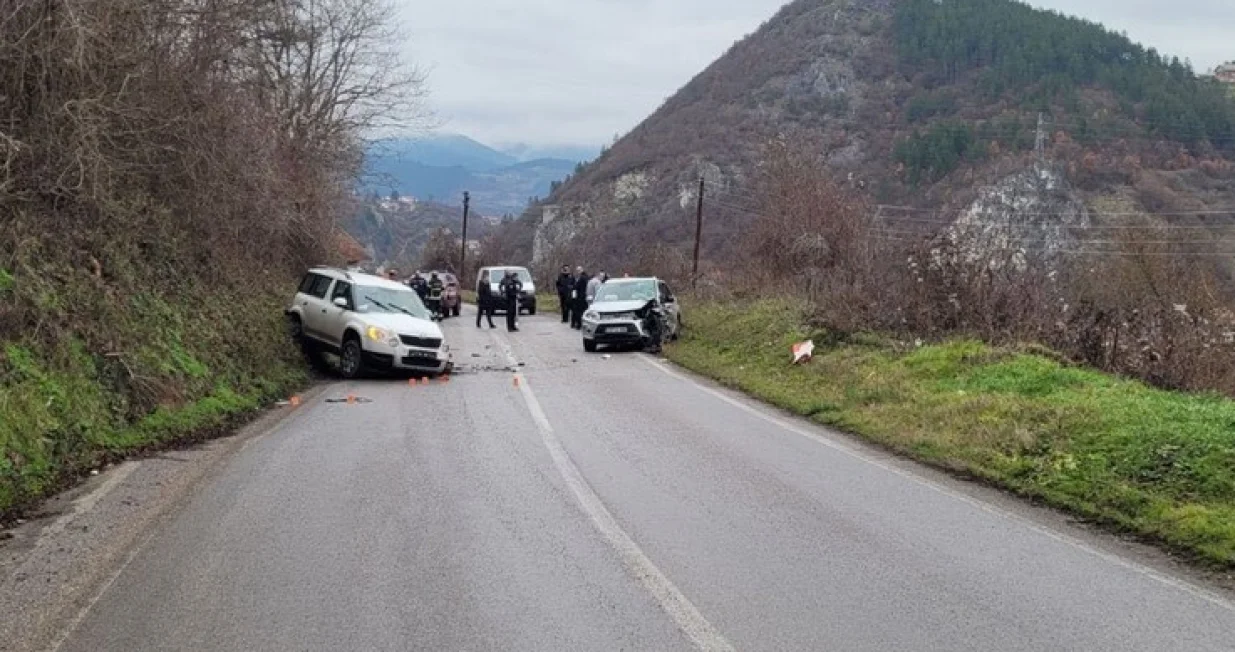 nesreća kod vi&scaron;egrada, poginula jedna osoba/Srna
