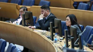 Predstavnički dom PSBiH/Fena