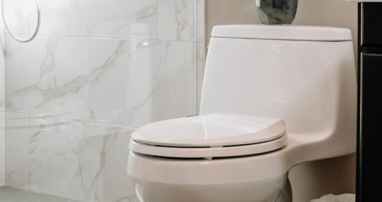 Kako čistiti vodokotlić//