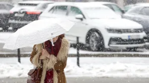 Snijeg ilustracije/Damir Deljo