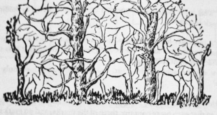 &Scaron;ta ste prvo vidjeli?/Facebook