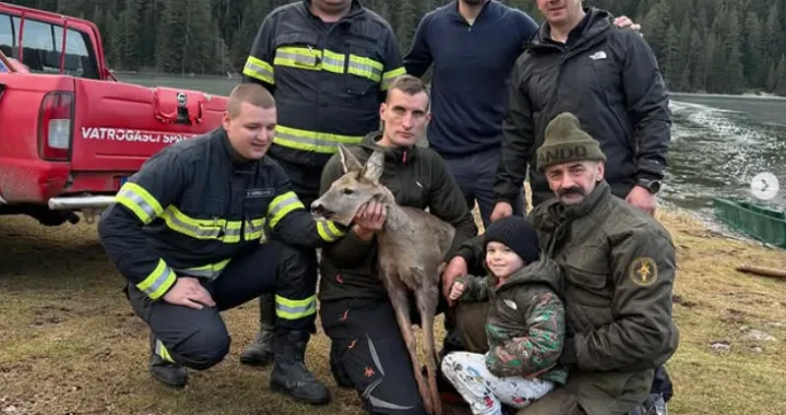 Spasili srnu zarobljenu u ledu/Služba Za&scaron;tite I Spa&scaron;avanja Žabljak