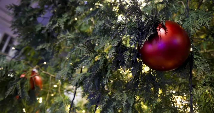 Novogodi&scaron;nji ukrasi u gradu po noći/Damir Deljo