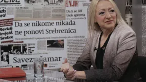 Podcast Direktno sa Vildanom Selimbegović gost Aleksandra Pandurević/Senad Gubelić