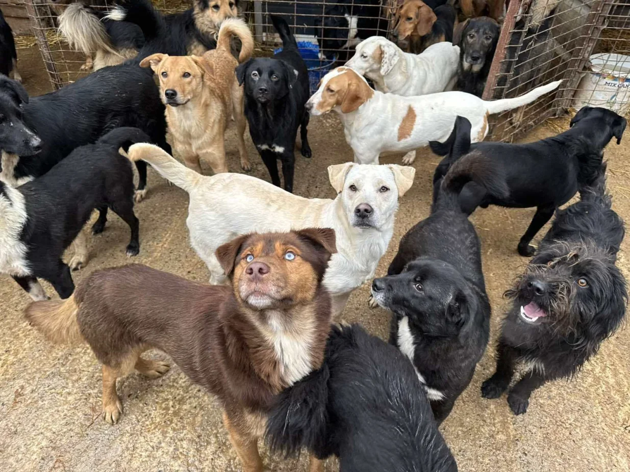 psu udruženje Spas prijedor/Spas Prijedor