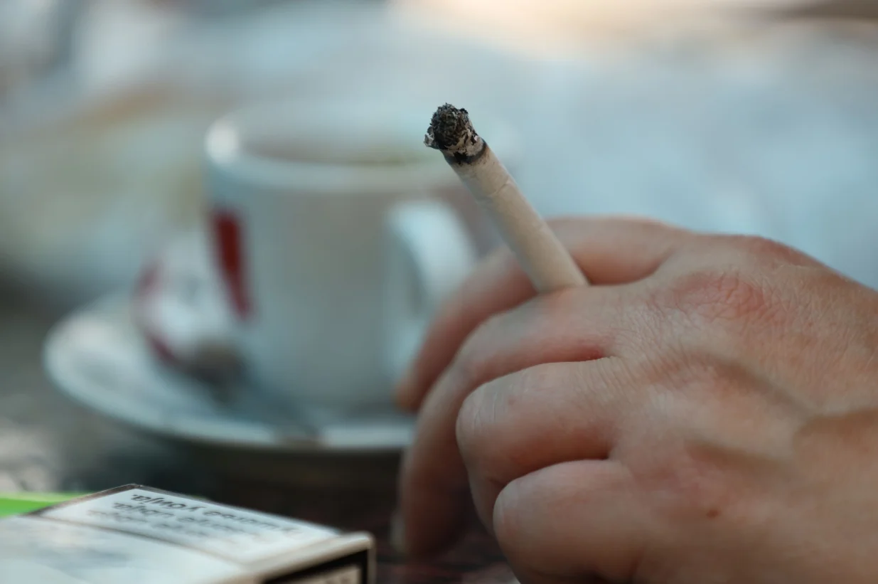 Zakon pu&scaron;enje cigarete/Senad Gubelić