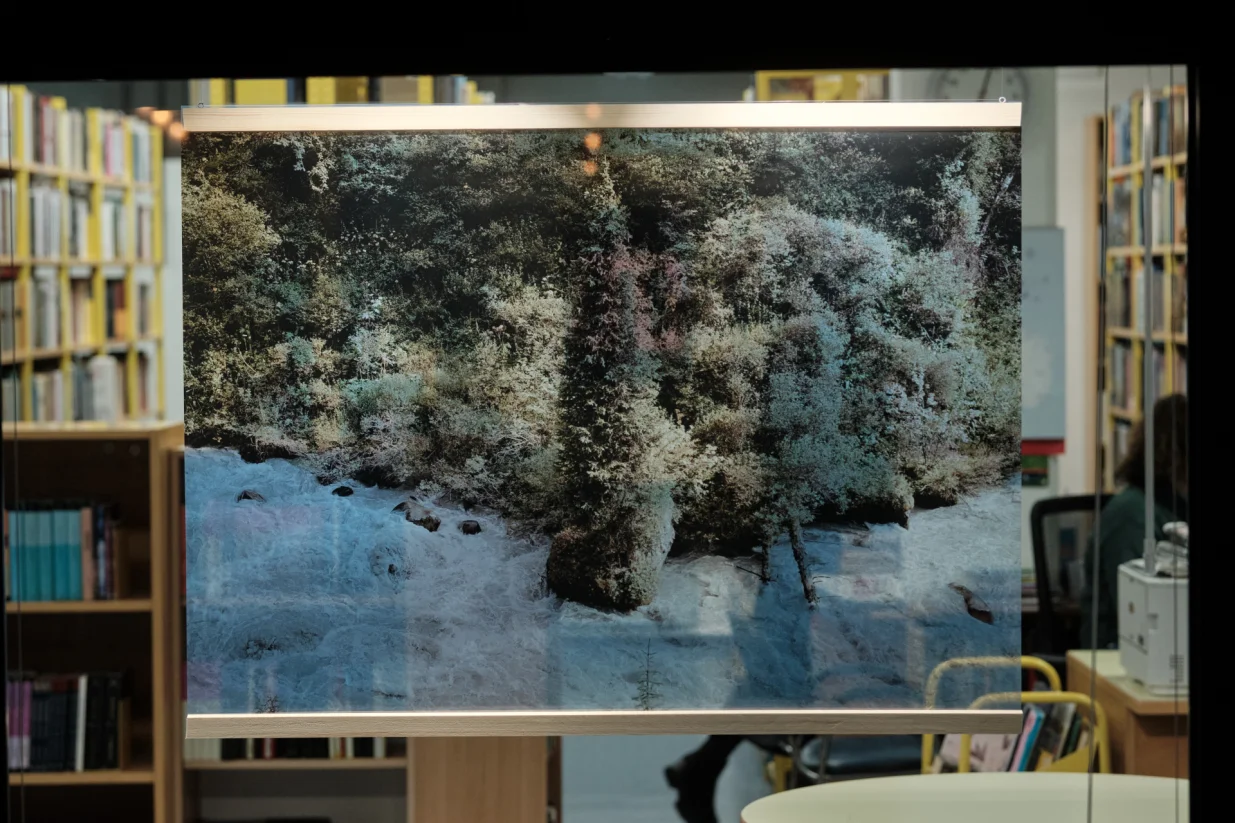 za pog /VANJA BABIĆ/