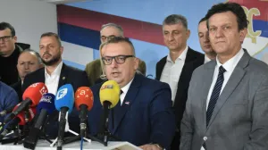 Jovica Radulović, v.d. predsjednika SDS, SDS-ovci, Branko Blanuša/