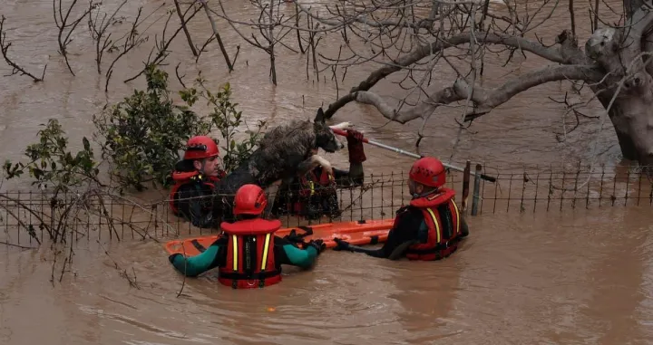 Poplave u &Scaron;paniji/Screenshot X