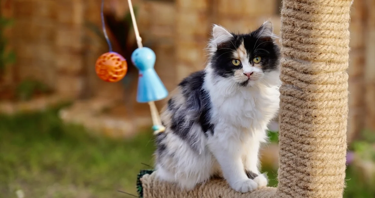 Hotel nudi luksuzne usluge/Anadolija/