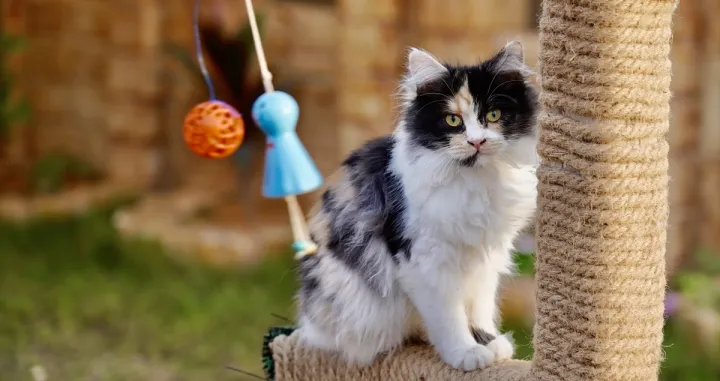 Hotel nudi luksuzne usluge/Anadolija/