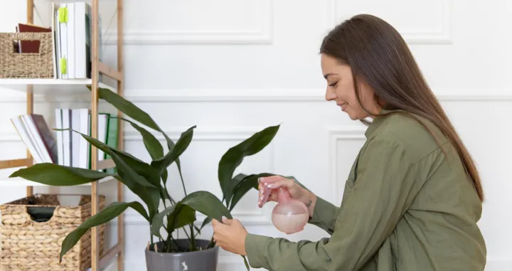 Najbolji izbor/Free Pik