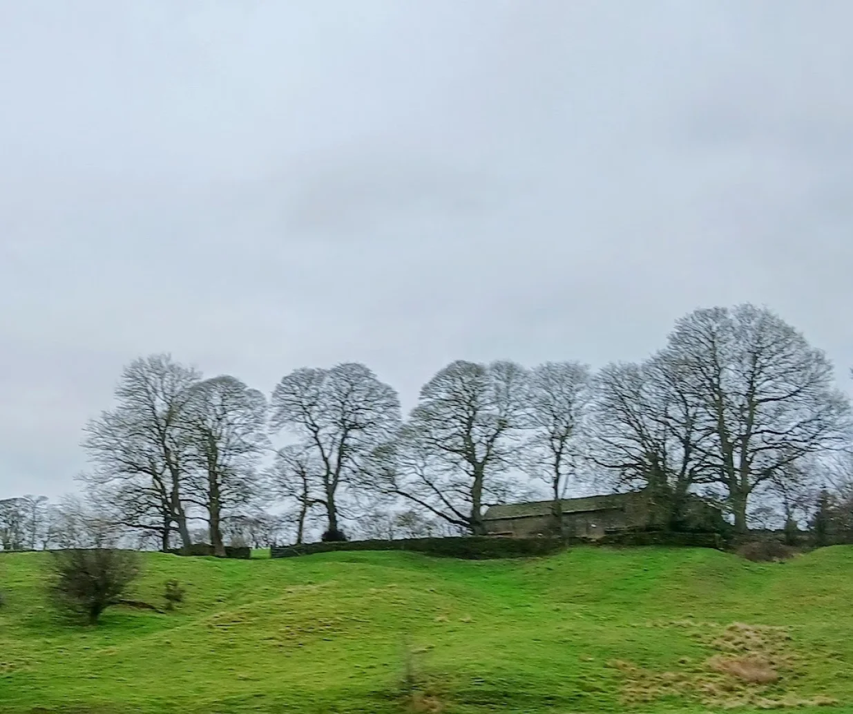 Zanimljive prirodne forme/