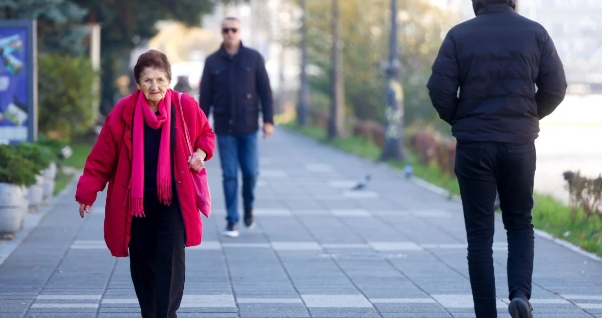 Novembar zahladenje/Damir Deljo